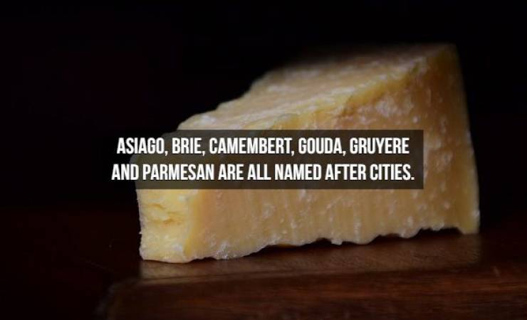 We Will Need Even More Cheese For These Cheese Facts