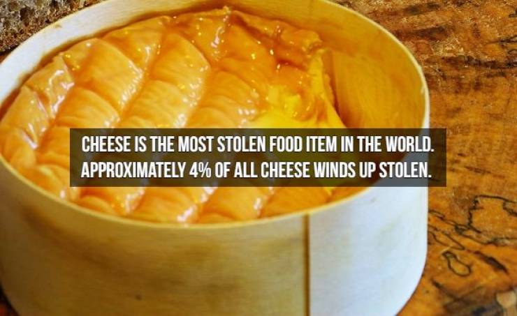 We Will Need Even More Cheese For These Cheese Facts