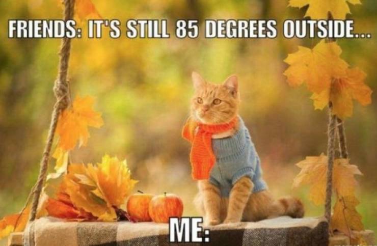 How Did Fall Get Here So Fast?!