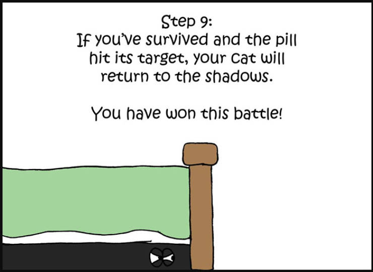 When You Really Need To Give A Cat A Pill