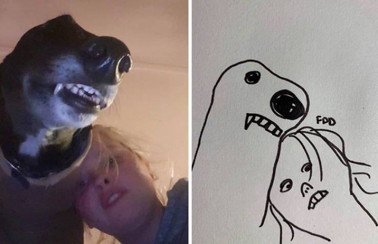 Guy Tries To Draw His Goofy Dog, Becomes A Full-Blown Goofy Pet Artist