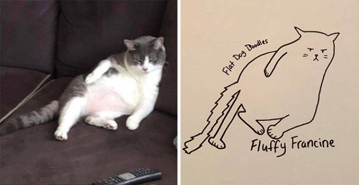Guy Tries To Draw His Goofy Dog, Becomes A Full-Blown Goofy Pet Artist