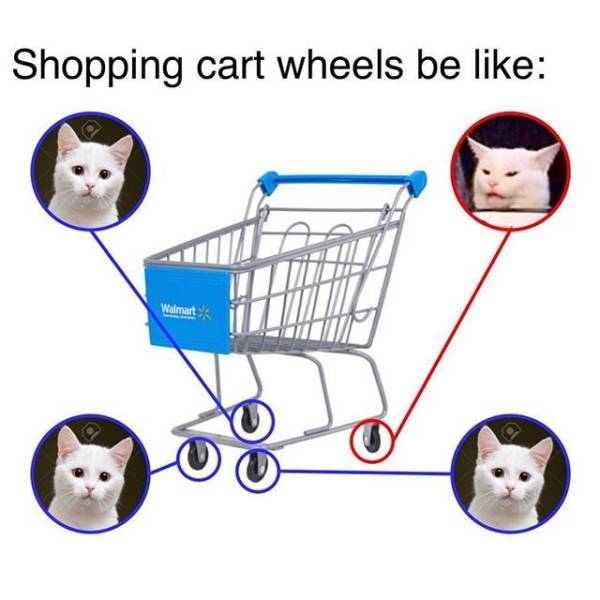 Funny Picdump