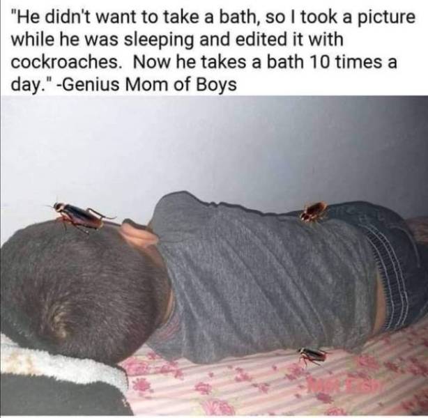 Funny Picdump