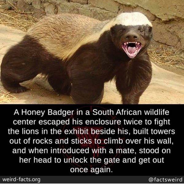 Funny Picdump