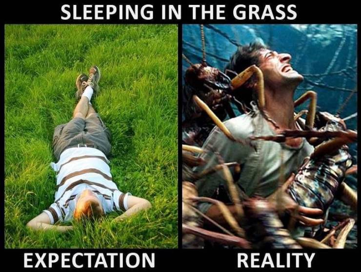 Funny Picdump