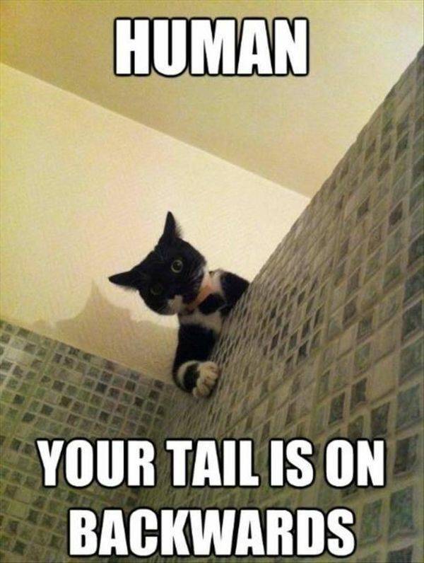 Funny Picdump
