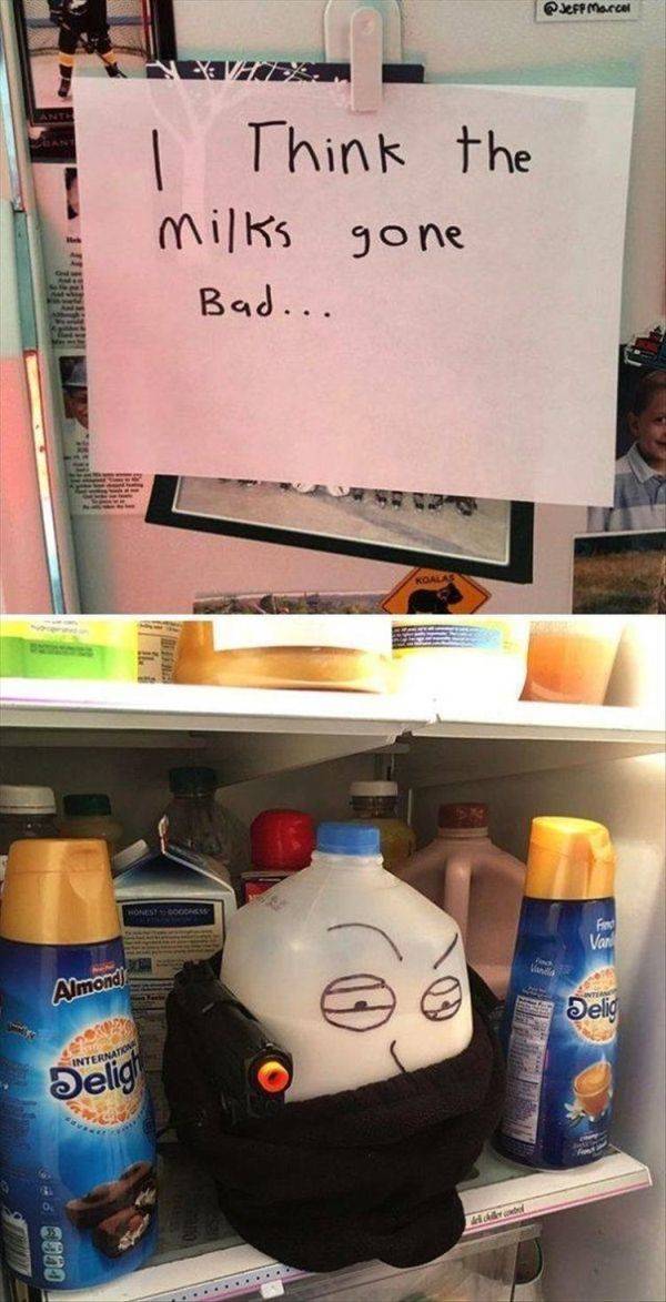 Funny Picdump