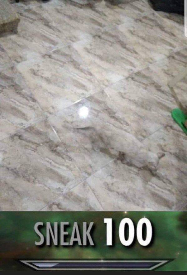 Funny Picdump