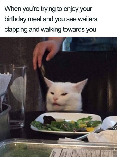 Smudge The Cat Meme Hd