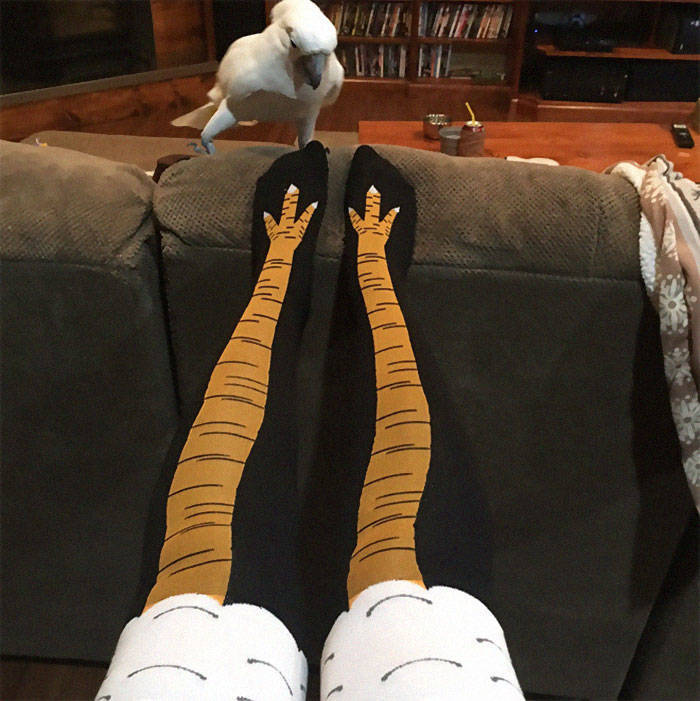 You Know You Want These Chicken Leg Socks