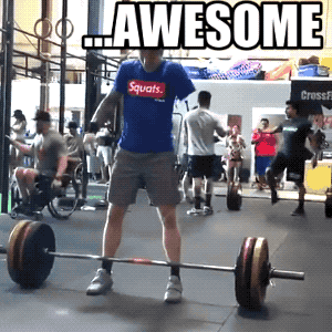 Daily Gifdump
