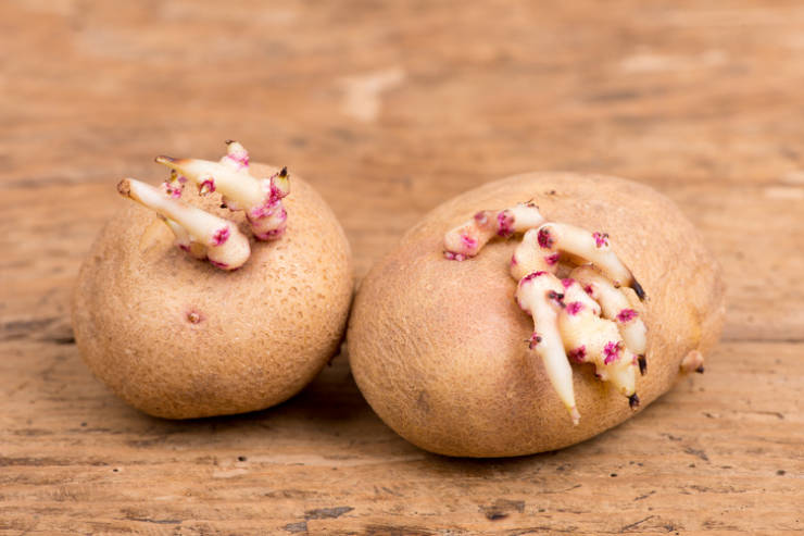 Healthy Foods Still Have To Be Eaten Correctly