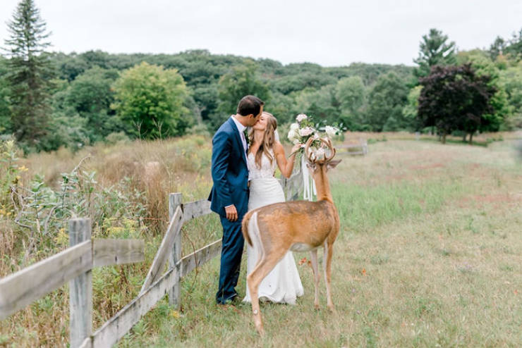 The Best Way To Interrupt A Wedding Photoshoot