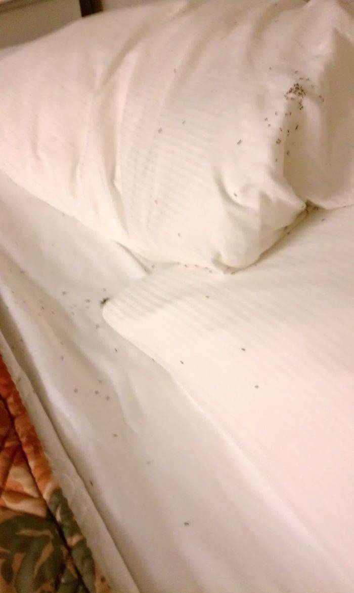 Hotels Can Be Bad. Really, Really Bad