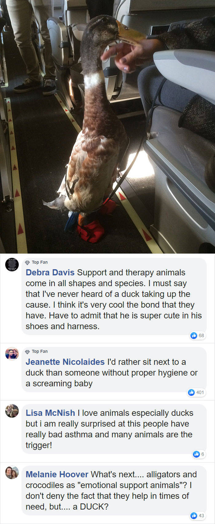 Do These People Go Too Far With Their Emotional Support Pets?
