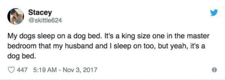 Dogs Are Really Special To These People