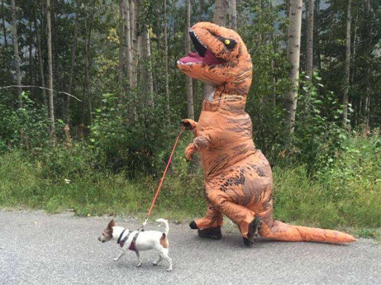 All You Need Is An Inflatable T-Rex Costume