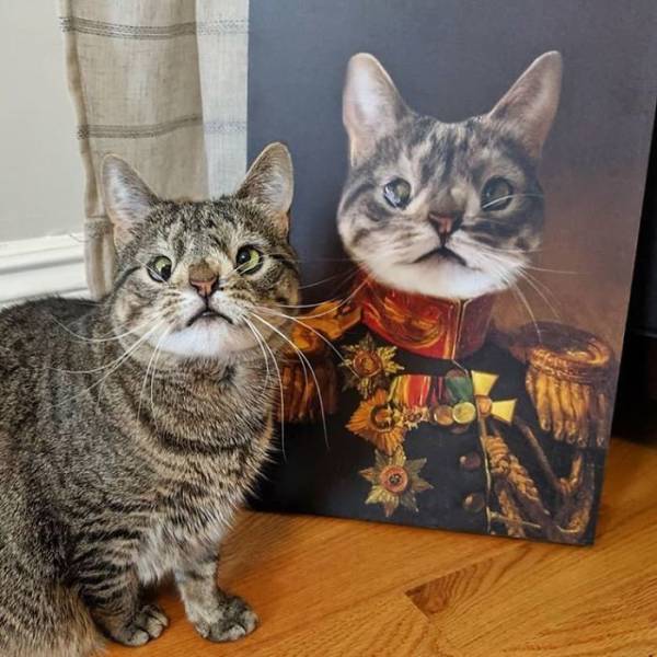 Your Pet Can Be A Royal Too!