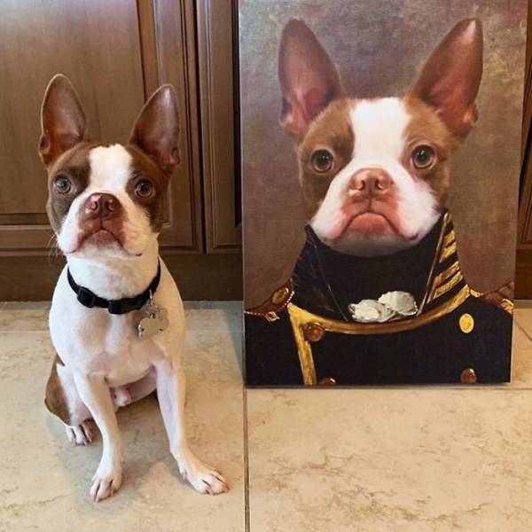 Your Pet Can Be A Royal Too!