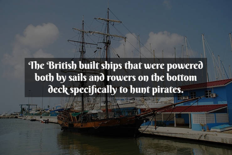 Ahoy Matey, Old World Pirates Facts!