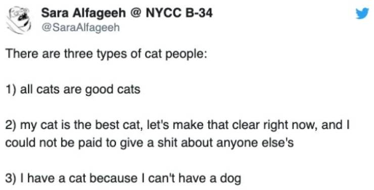 Dog People And Cat People Will Never Understand Each Other