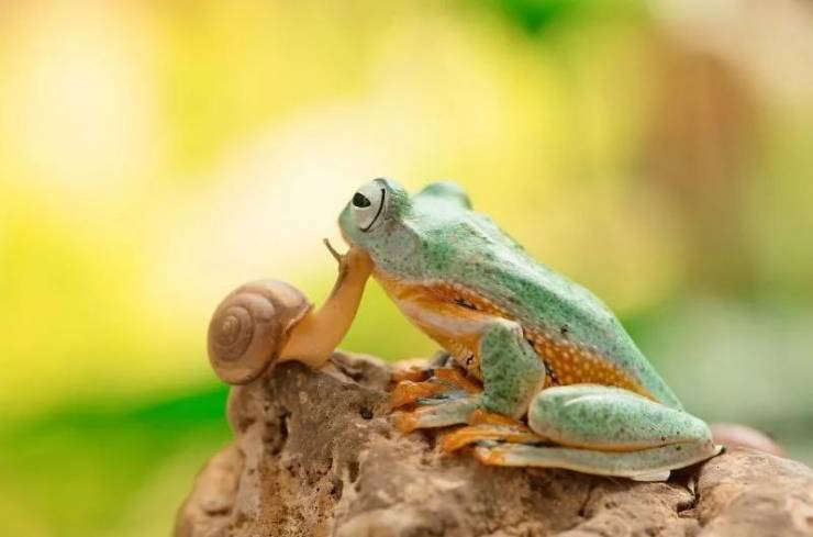 Fine Examples When A Picture Says More Than Just A Thousand Words