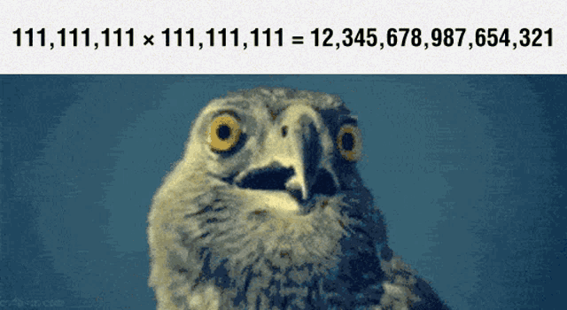 Math GIFs Will Not Make You Smarter, But What If They Do