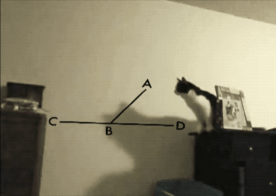 Math GIFs Will Not Make You Smarter, But What If They Do
