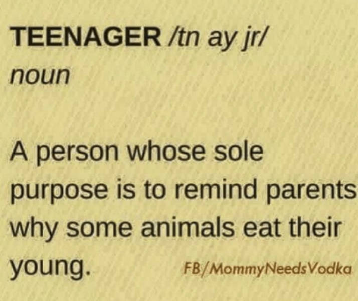 Parents Of Teenagers, Hang On