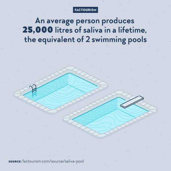 Interesting Facts, But With Illustrations