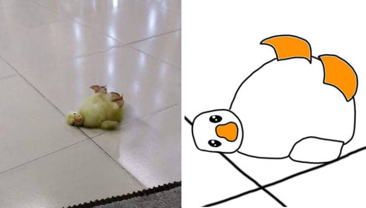 Poorly Drawn Animals Are Still Incredibly Adorable (37 pics) 