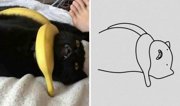 Poorly Drawn Animals Are Still Incredibly Adorable