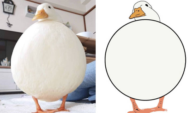 Poorly Drawn Animals Are Still Incredibly Adorable