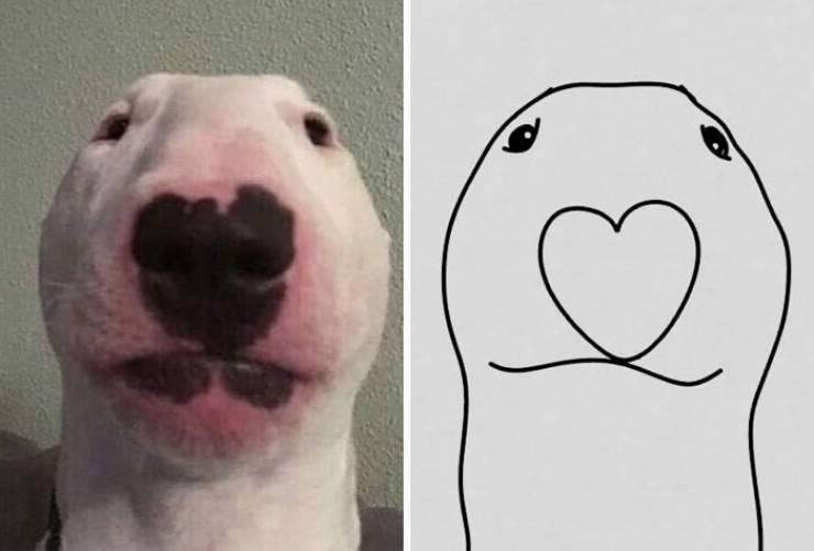 Poorly Drawn Animals Are Still Incredibly Adorable