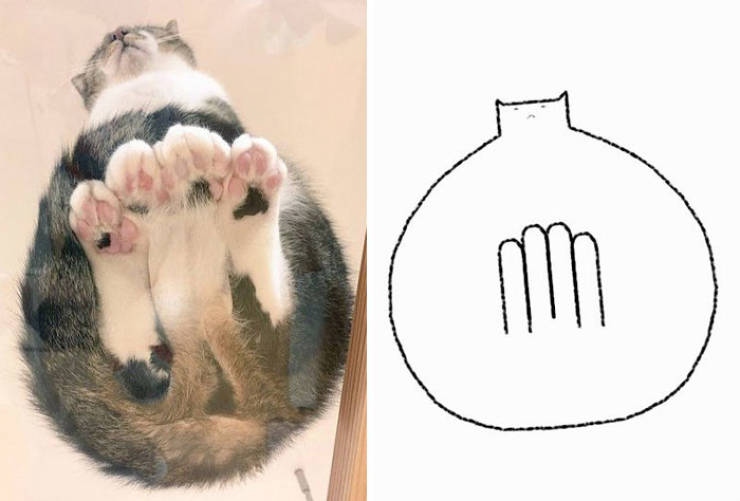 Poorly Drawn Animals Are Still Incredibly Adorable