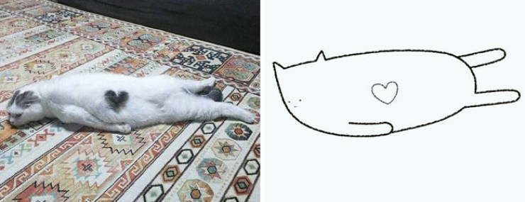 Poorly Drawn Animals Are Still Incredibly Adorable