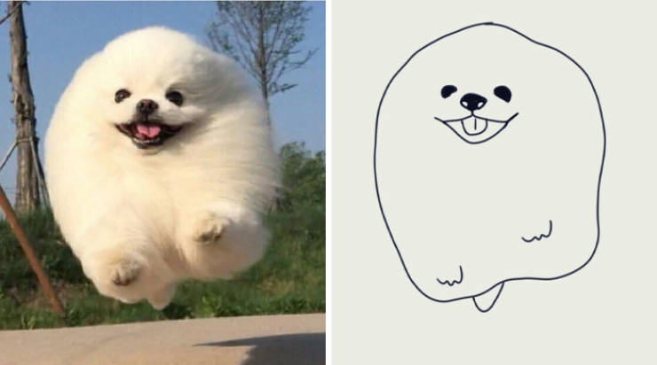 Poorly Drawn Animals Are Still Incredibly Adorable