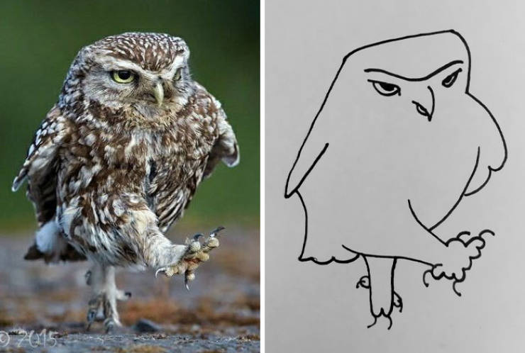 Poorly Drawn Animals Are Still Incredibly Adorable