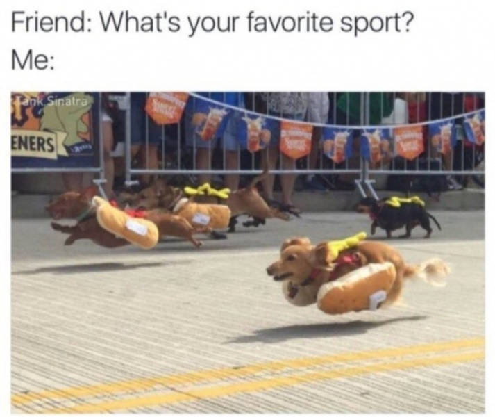 Are You Hungry For Some Hot Dog Memes?