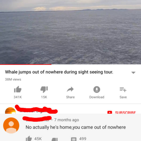 How Can They Be So Correct?!