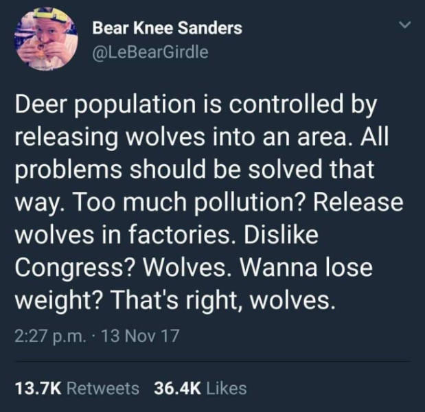How Can They Be So Correct?!