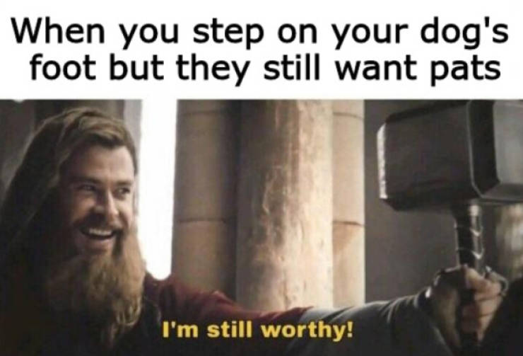 At Least Your Dog Will Find These Memes Relatable