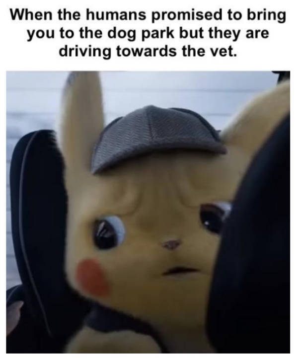 At Least Your Dog Will Find These Memes Relatable