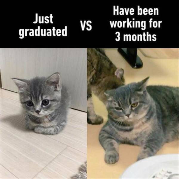 Funny Picdump