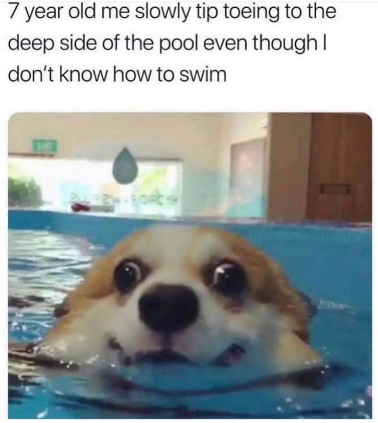 Funny Picdump
