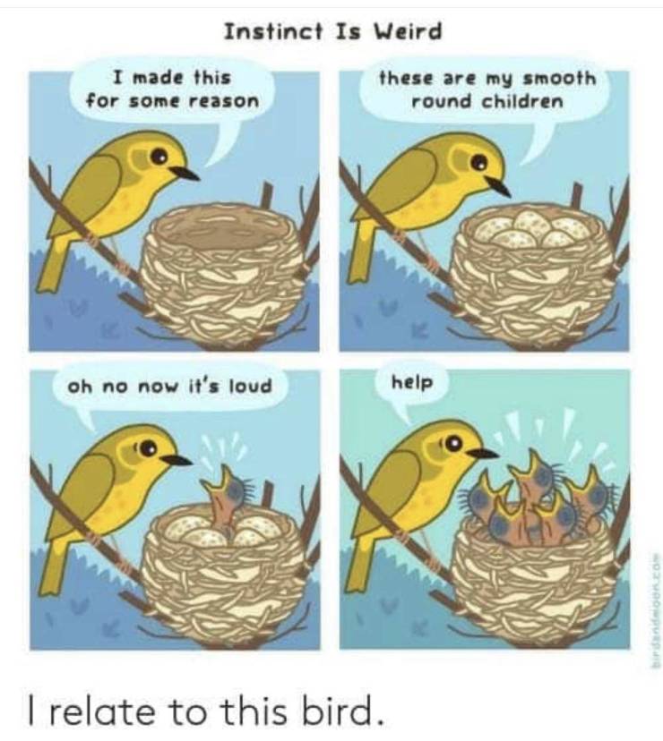 Funny Picdump