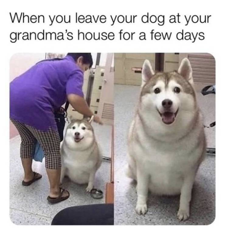 Funny Picdump