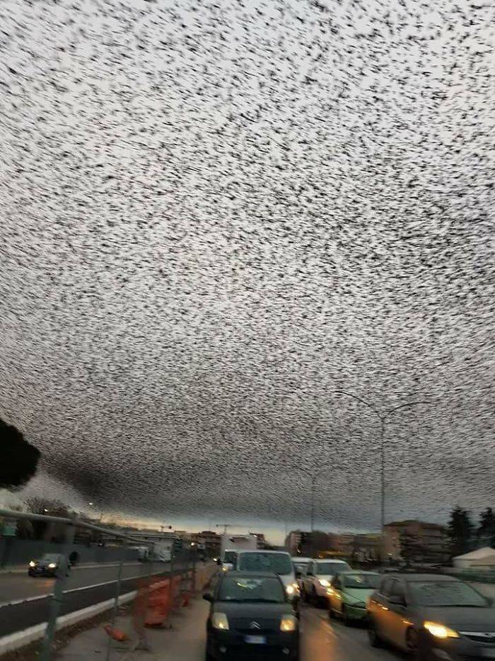 How Are These Not Photoshopped?!