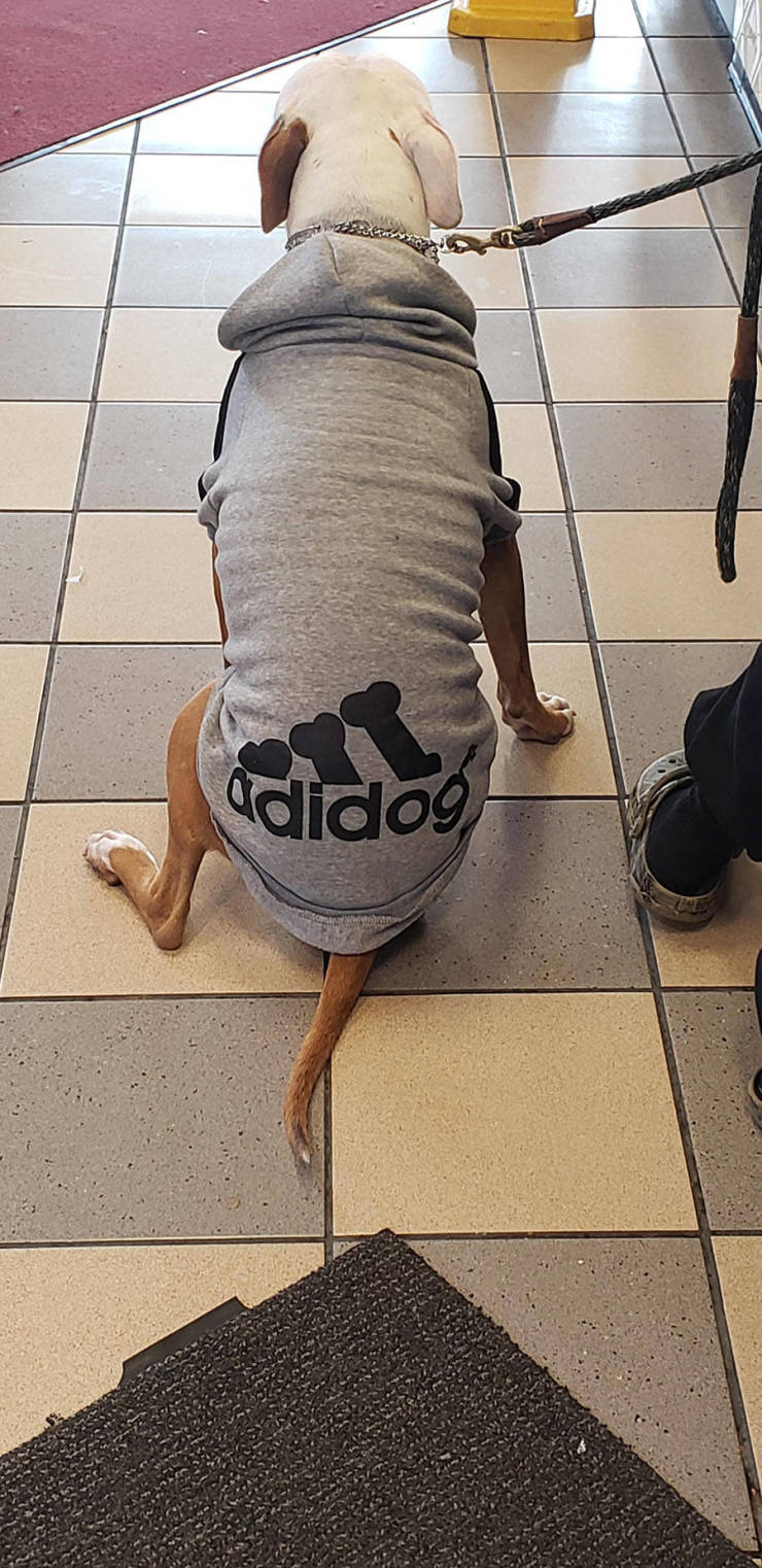 Morning Picdump